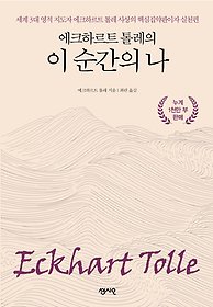 에크하르트 톨레의 이 순간의 나